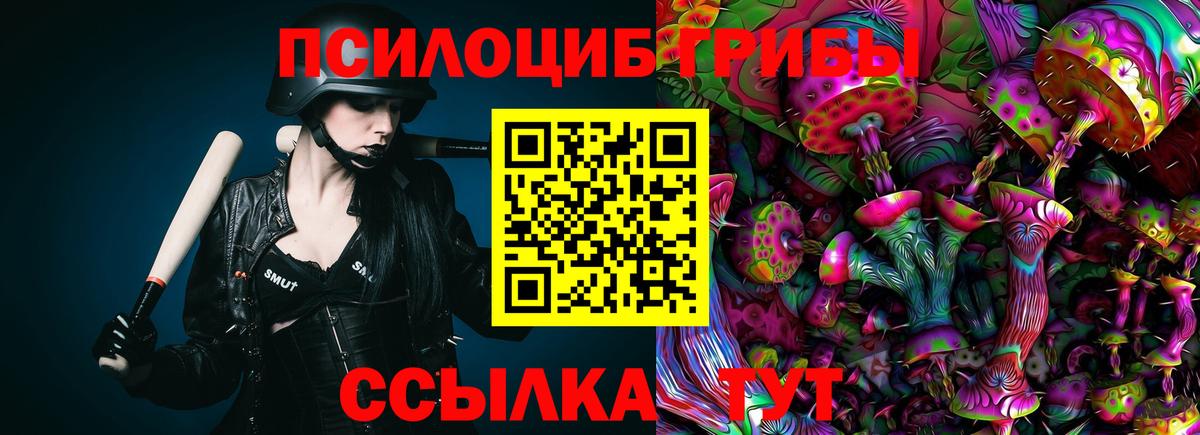 Хабаровск  Псилоцибиновые грибы Cubensis  что такое наркотик  Вход с VPN 